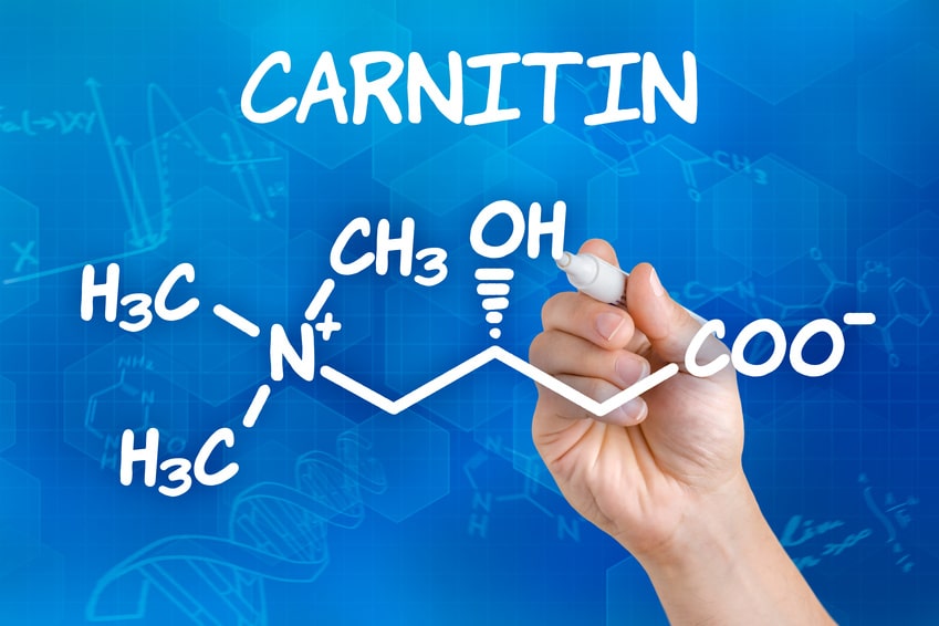 Carnitin, L-Carnitin