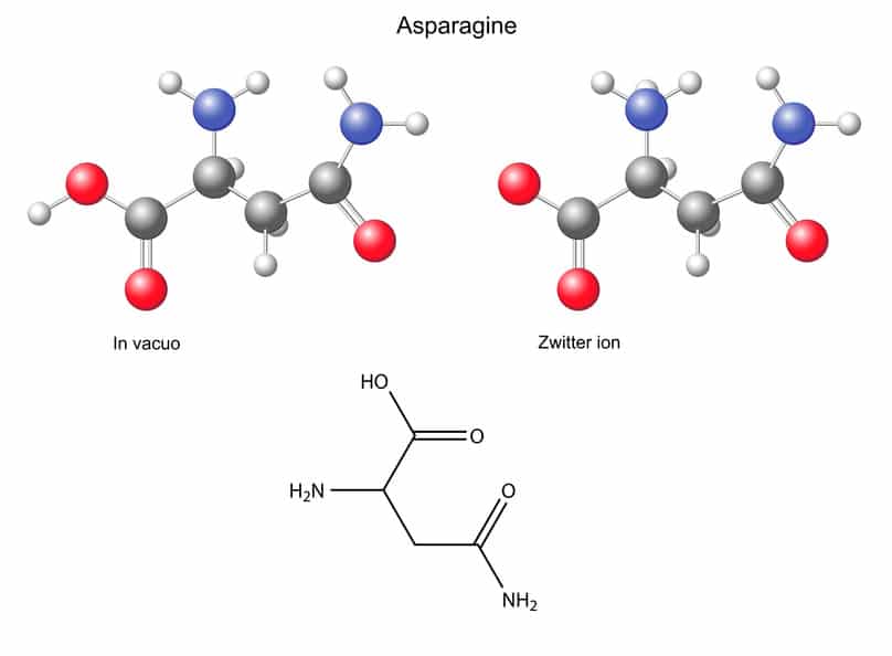 Spargel, L-Asparagin