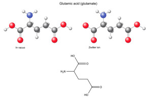 Glutaminsäure