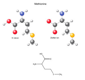 Methionin