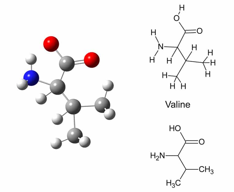 Valine