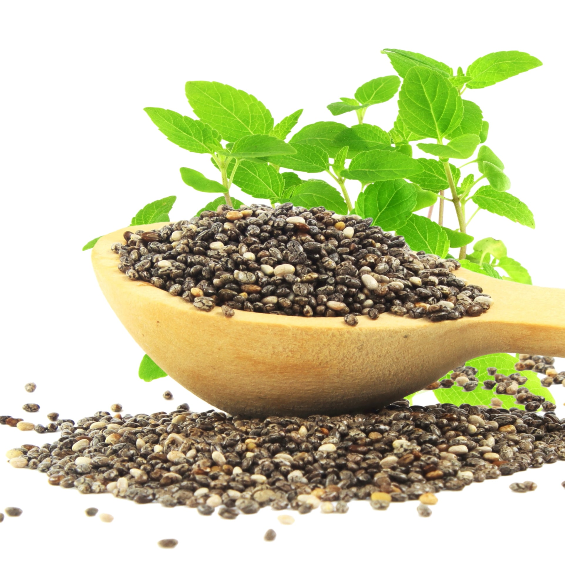 Chia seed oil