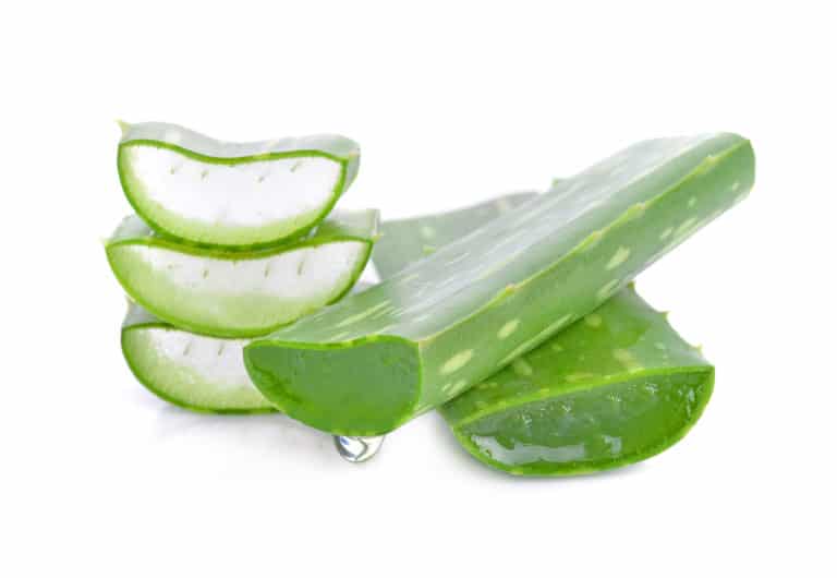 Botanical Skin Hydration, Aloe Vera