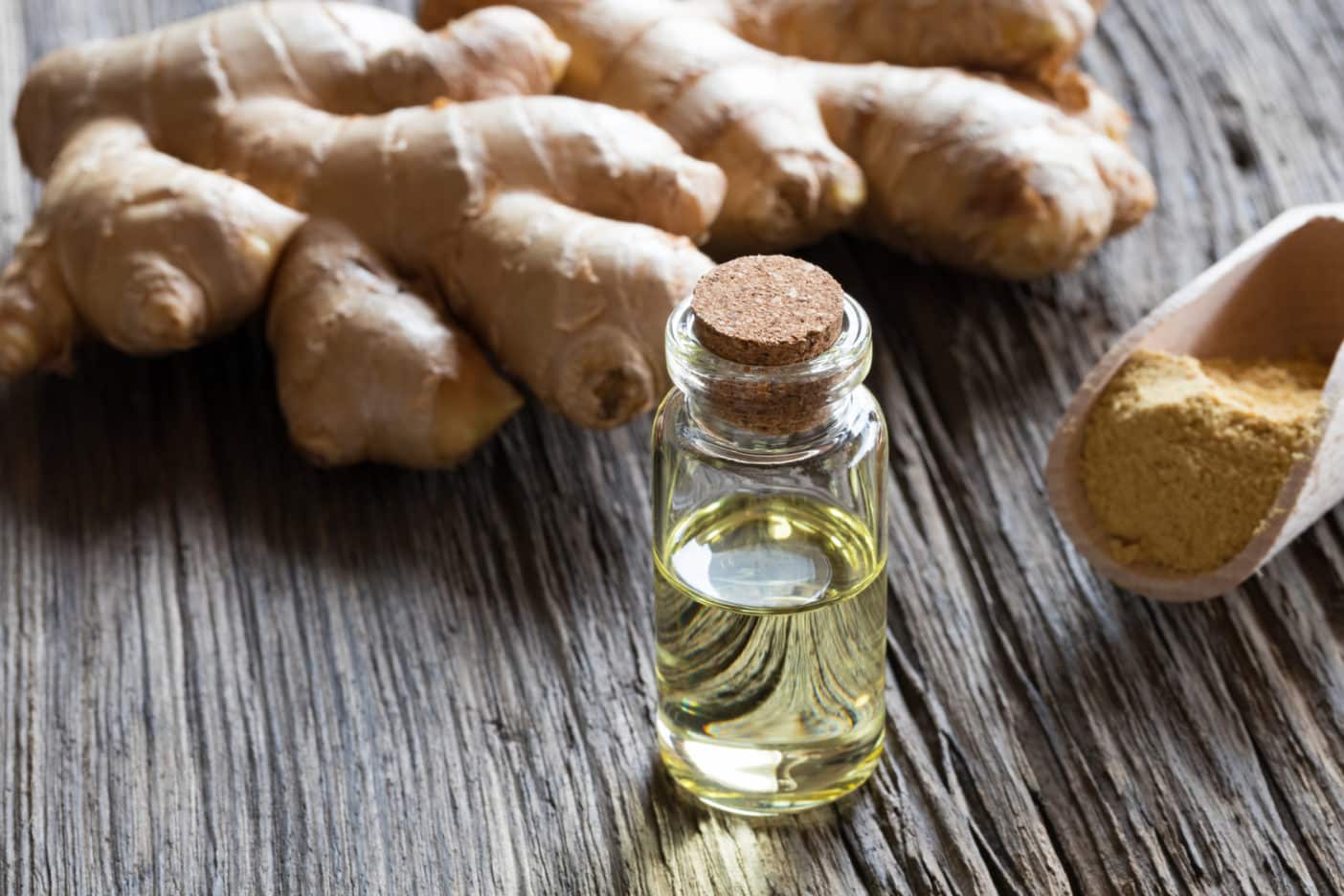 Ginger - Zingiber Officinale (Ginger) Root Extract - Cosmacon