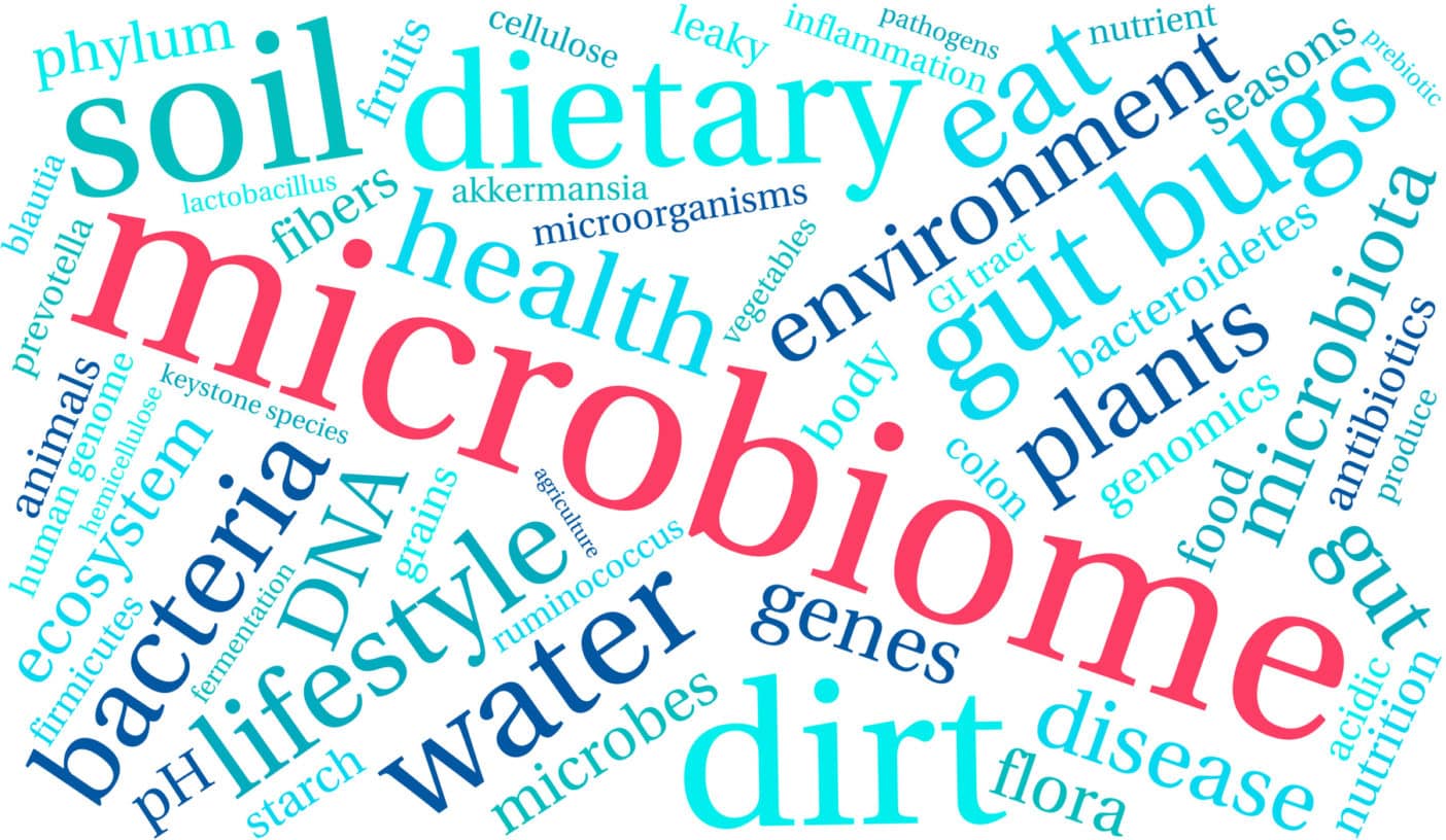 Fermentative Wirkstoffe, Ferment, Mikrobiom; fermentierte Wirkstoffe