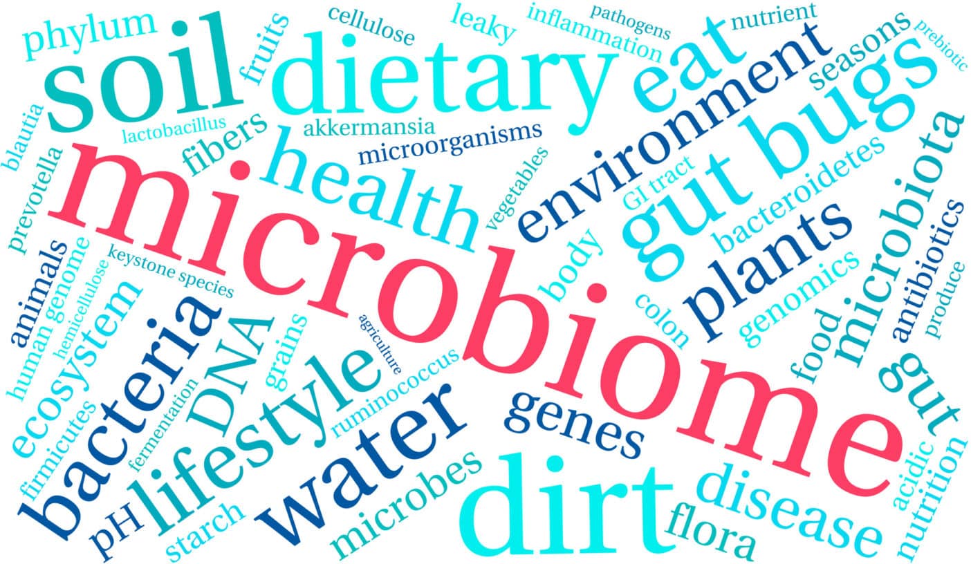 Fermentative Wirkstoffe, Ferment, Mikrobiom