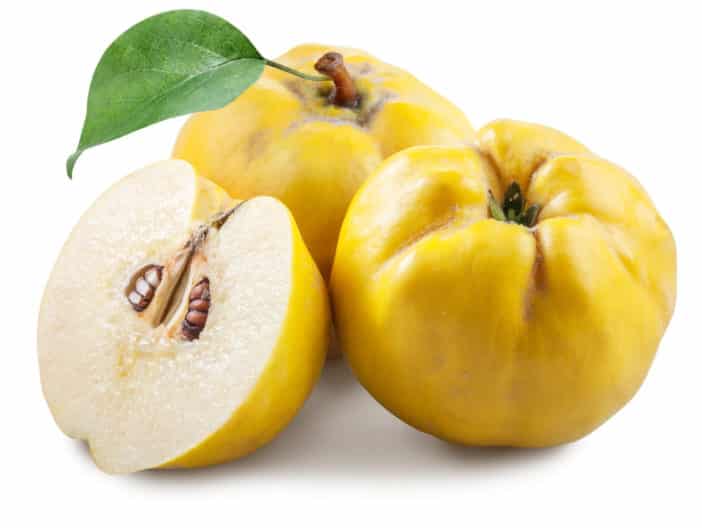 Quitte, Quittenextrakt, Pyrus Cydonia Seed Extract