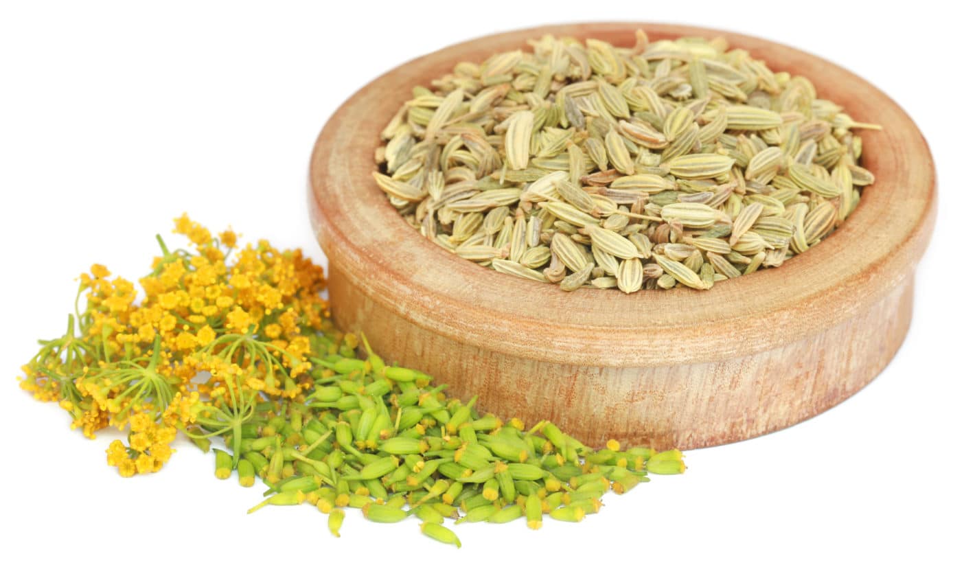 Fenchel; Fenchelextrakt; Foeniculum Vulgare (Fennel) Fruit Extract