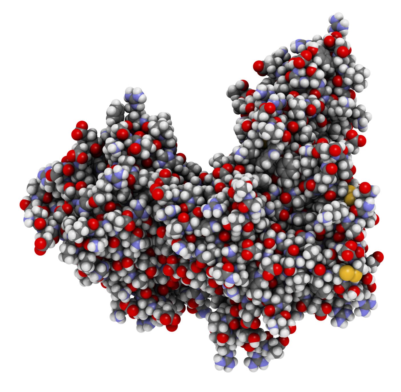 Peptidase, Substilisin