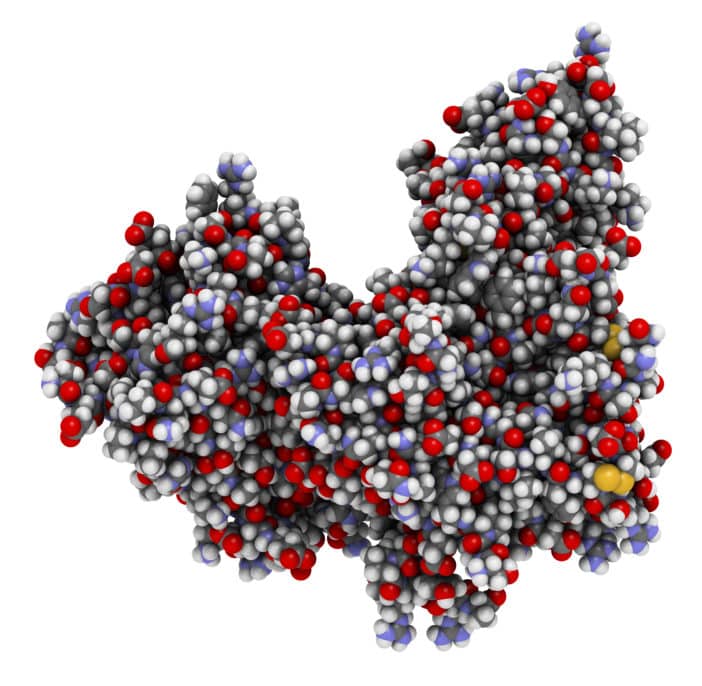 Peptidase, Substilisin