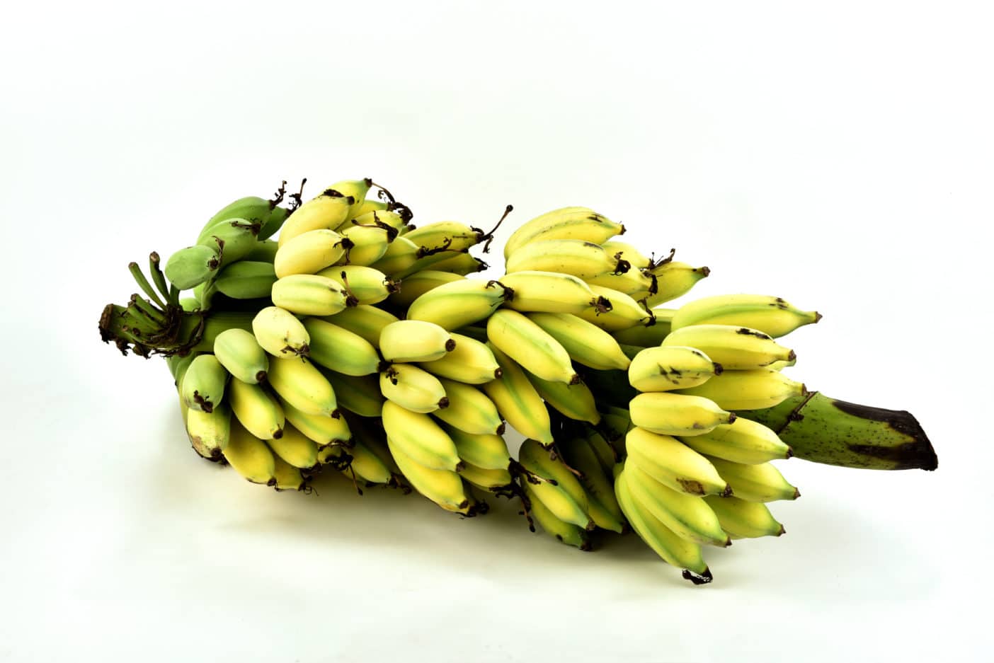 Musa Sapientum (Banana) Pulp Extract