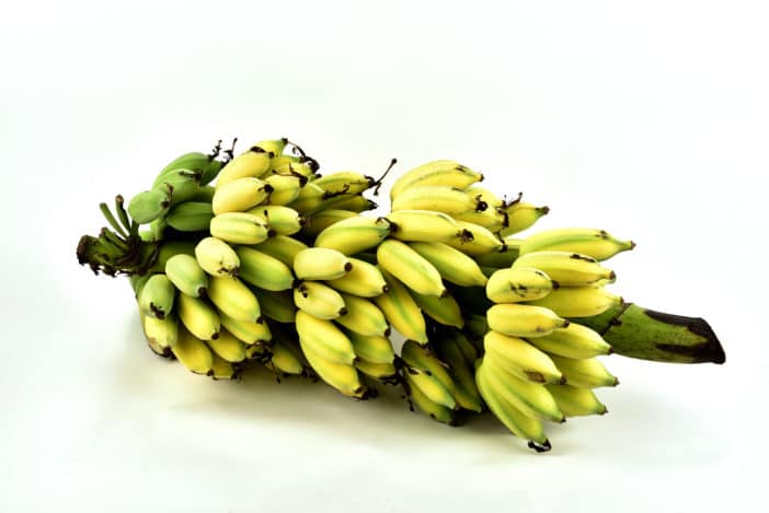 Bananen-Extrakt; Musa Sapientum (Banana) Pulp Extract