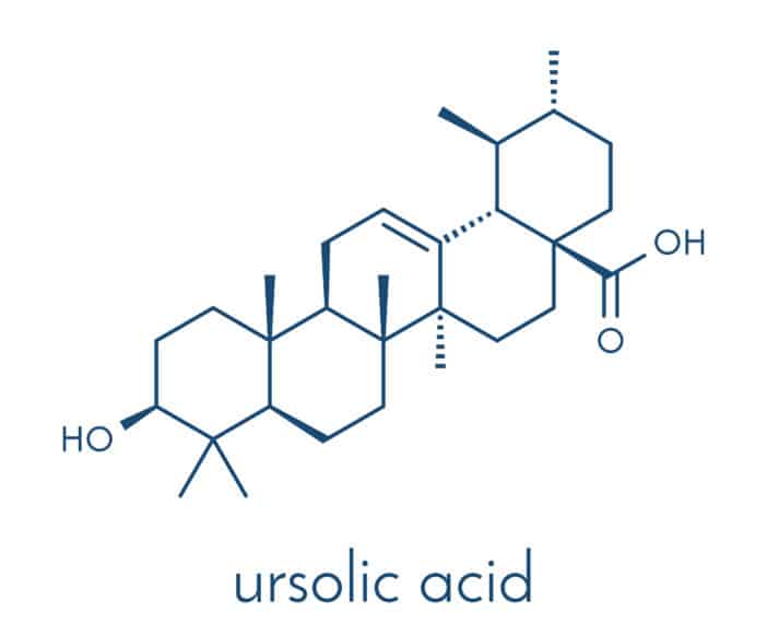 Ursolic Acid, Rosmarinsäure, Rosmarin