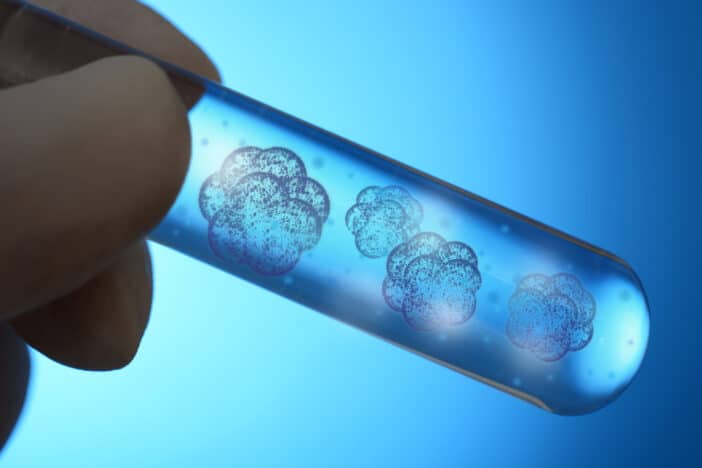 Pflanzenstammzellen; Stem Cells; Goji