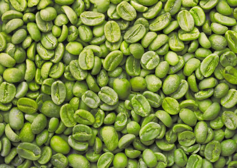 Coffea Arabica Seed Extract, grüner Kaffee