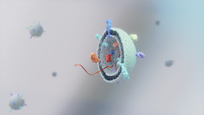 Exosomale Wirkstoffe, Exosome, Vesicle