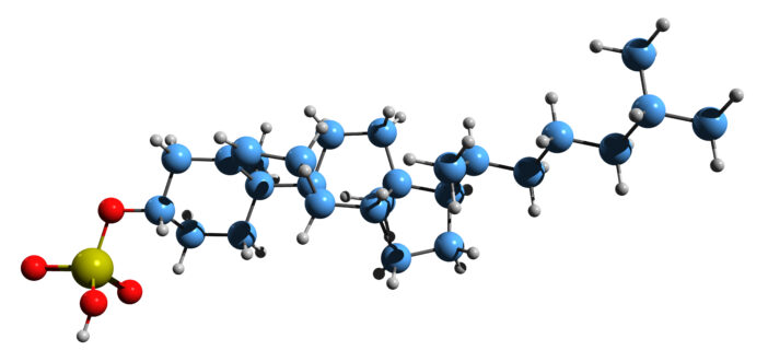 Kaliumcholesterylsulfat, Hautbarriere