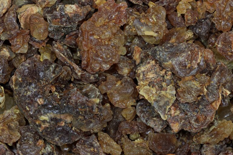 Myrrh extract, Myrrhe
