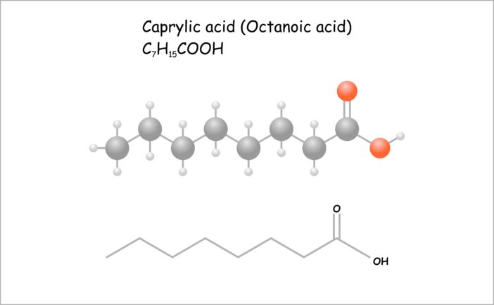 Caprylsäure, caprylic acid
