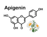 Apigenin, Chamomile officinalis
