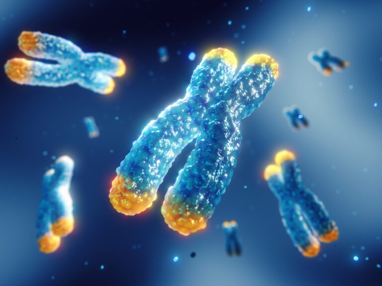 Longevity, with cosmetics – the future of skin health