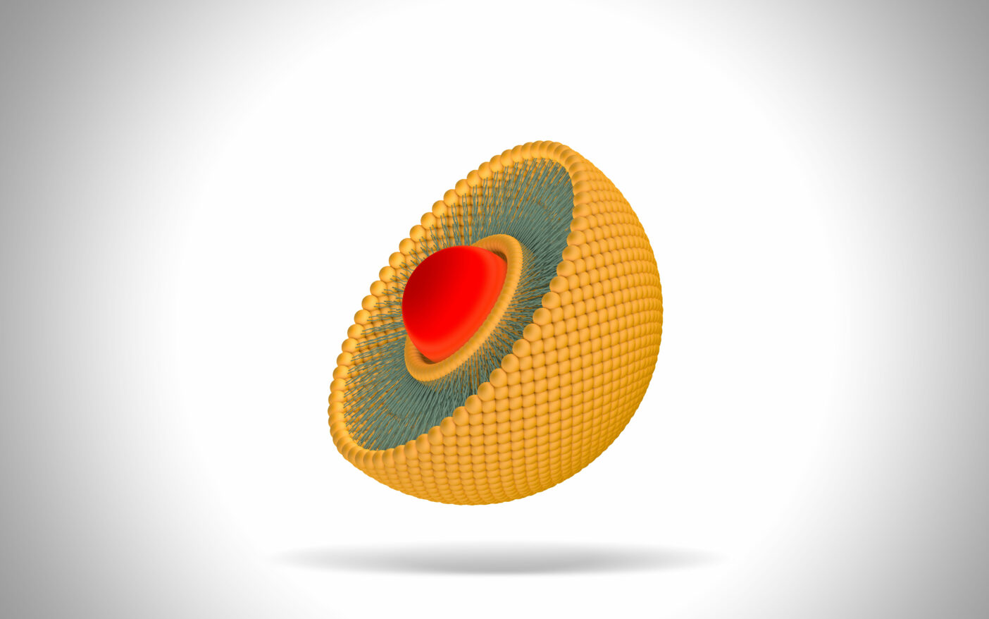 Encapsulation, Cyclodextrines, Liposomes