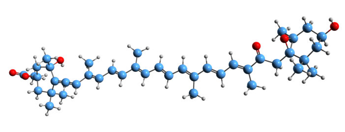 Phaeodactylum Tricornutum Extract, Fucoxanthin