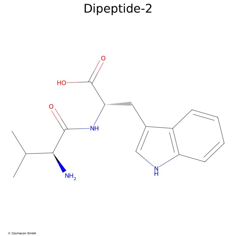 Dipeptide-2 formula structure of the molecule