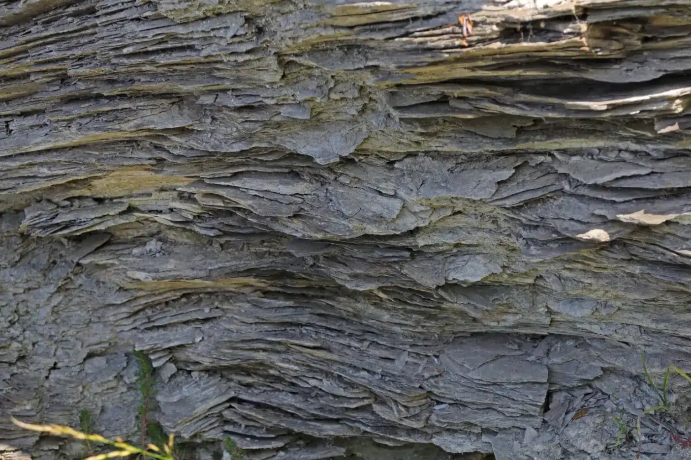 Ictyol Pale—sulfonated shale oil