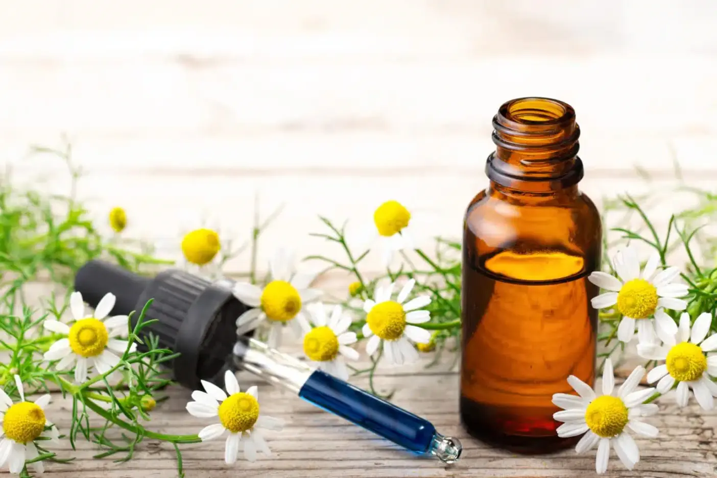 true chamomile extract