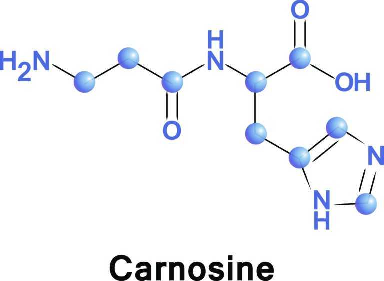Carnosin Strukturformel des Moleküls