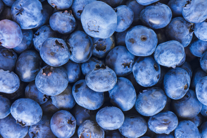 Fresh blueberry background. Texture of blueberry berries close up