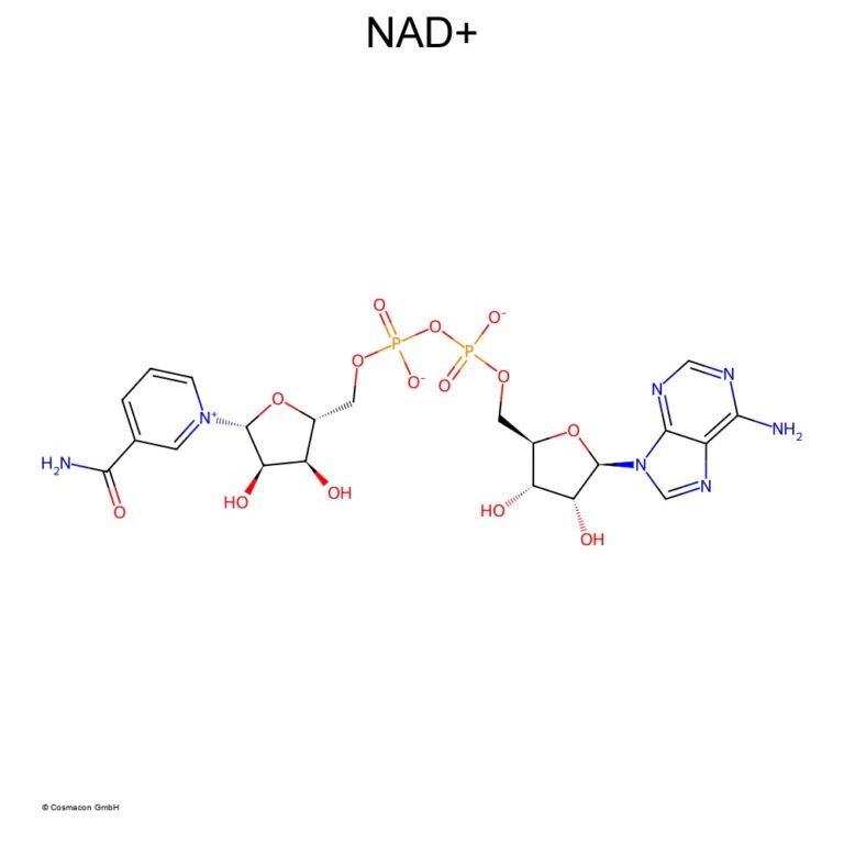 NAD⁺, NMN in der Hautpflege