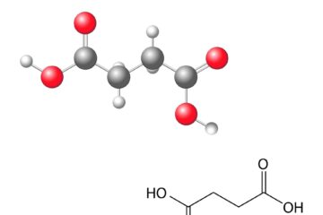 Succinic acid; Butanedioic acid