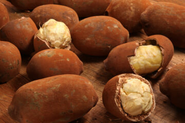 Cupuacu;Theobroma Grandiflorum Seed Butter, copoazu Butter